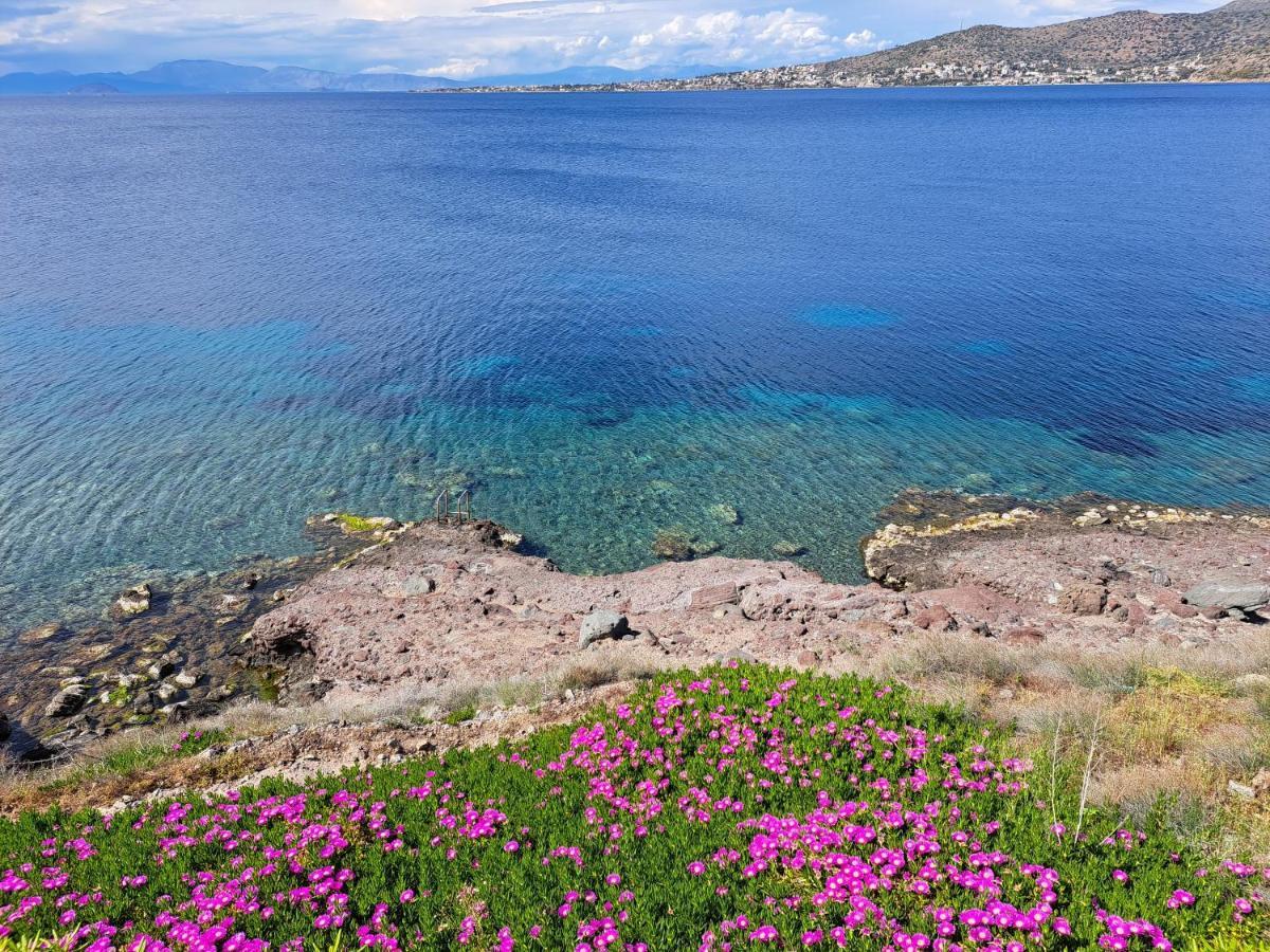 Villa Almyra Seaside Perdika  Esterno foto